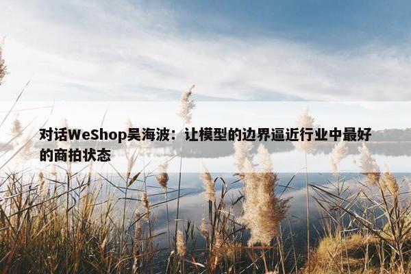 对话WeShop吴海波：让模型的边界逼近行业中最好的商拍状态