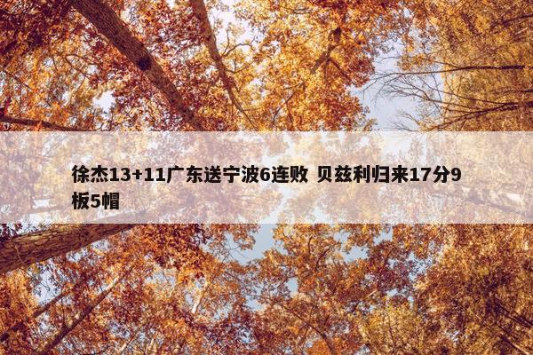 徐杰13+11广东送宁波6连败 贝兹利归来17分9板5帽