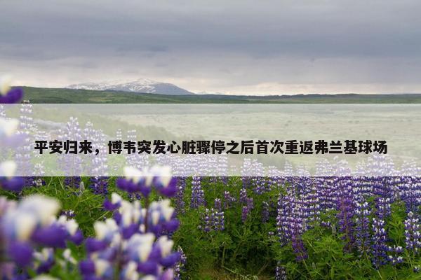 平安归来，博韦突发心脏骤停之后首次重返弗兰基球场