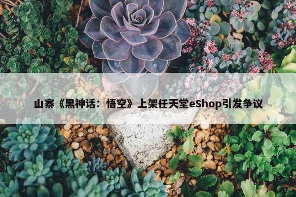 山寨《黑神话：悟空》上架任天堂eShop引发争议