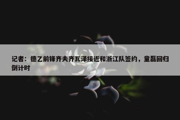 记者：德乙前锋齐夫齐瓦泽接近和浙江队签约，童磊回归倒计时