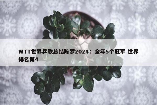 WTT世界乒联总结陈梦2024：全年5个冠军 世界排名第4