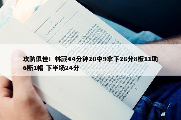 攻防俱佳！林葳44分钟20中9拿下28分8板11助6断1帽 下半场24分