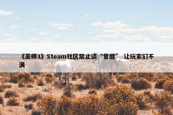 《巫师3》Steam社区禁止谈“觉醒” 让玩家们不满