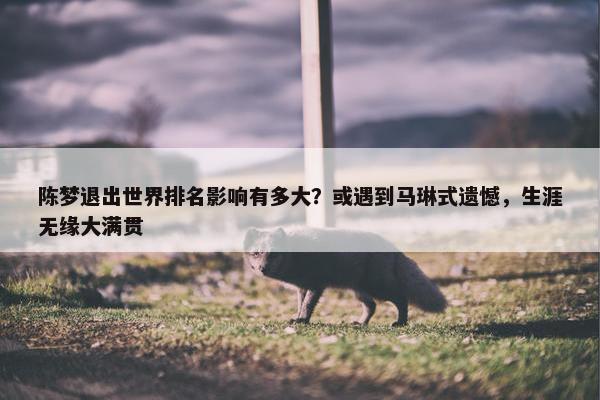 陈梦退出世界排名影响有多大？或遇到马琳式遗憾，生涯无缘大满贯