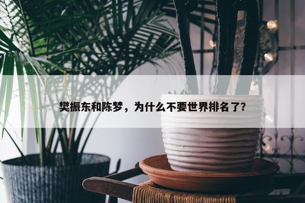 樊振东和陈梦，为什么不要世界排名了？