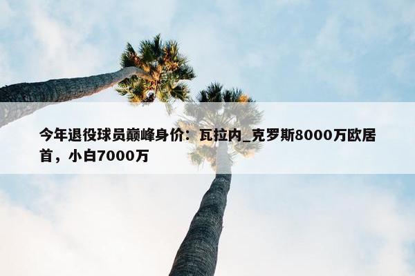 今年退役球员巅峰身价：瓦拉内_克罗斯8000万欧居首，小白7000万