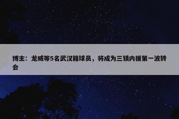 博主：龙威等5名武汉籍球员，将成为三镇内援第一波转会