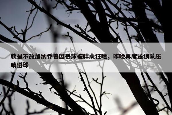 就是不改加纳乔曾因丢球被胖虎狂喷，昨晚再度送狼队压哨进球