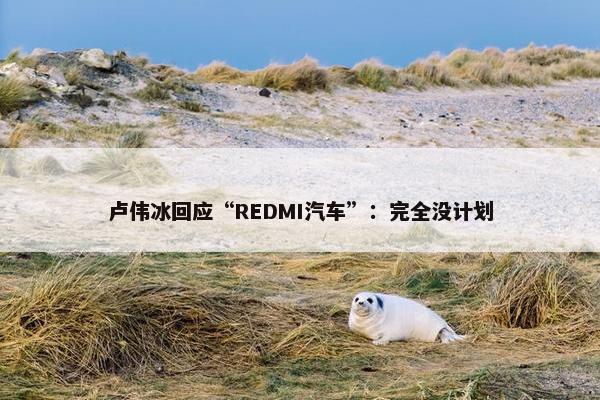 卢伟冰回应“REDMI汽车”：完全没计划