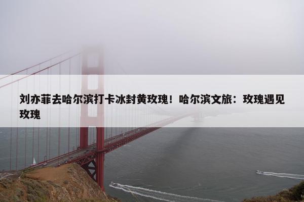 刘亦菲去哈尔滨打卡冰封黄玫瑰！哈尔滨文旅：玫瑰遇见玫瑰