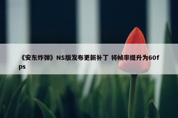 《安东炸弹》NS版发布更新补丁 将帧率提升为60fps