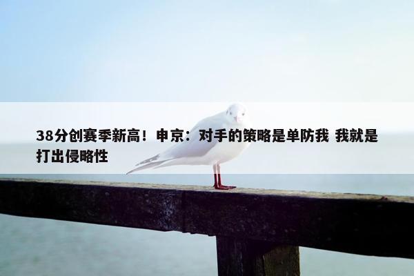 38分创赛季新高！申京：对手的策略是单防我 我就是打出侵略性