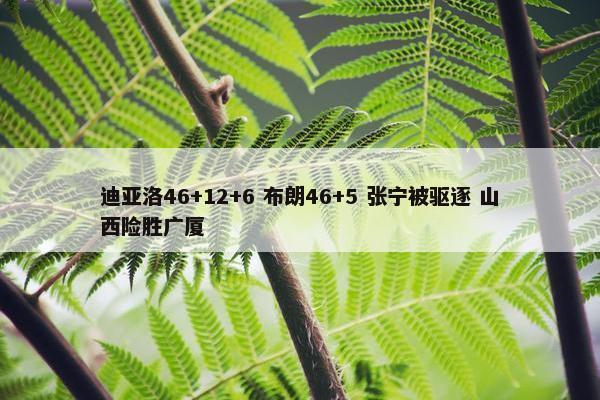 迪亚洛46+12+6 布朗46+5 张宁被驱逐 山西险胜广厦