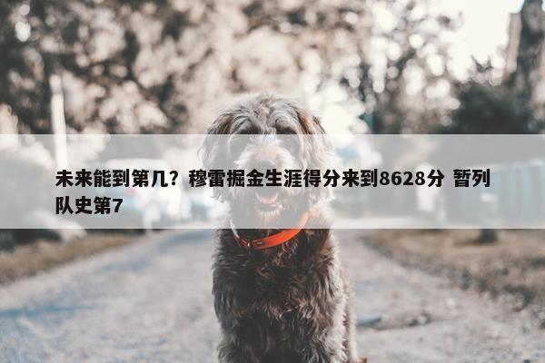 未来能到第几？穆雷掘金生涯得分来到8628分 暂列队史第7