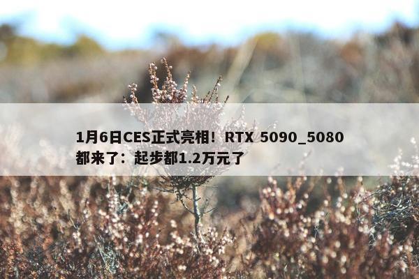 1月6日CES正式亮相！RTX 5090_5080都来了：起步都1.2万元了