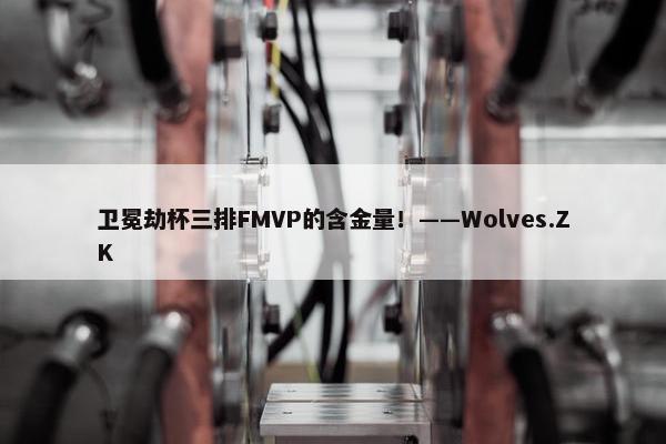 卫冕劫杯三排FMVP的含金量！——Wolves.ZK