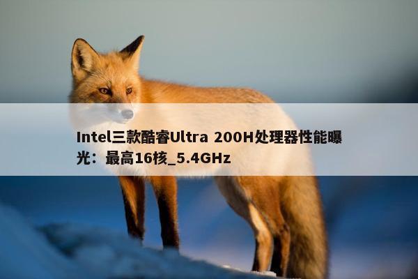 Intel三款酷睿Ultra 200H处理器性能曝光：最高16核_5.4GHz