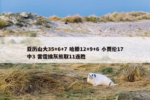 亚历山大35+6+7 哈滕12+9+6 小贾伦17中3 雷霆擒灰熊取11连胜