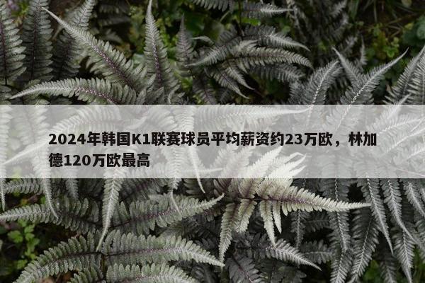 2024年韩国K1联赛球员平均薪资约23万欧，林加德120万欧最高