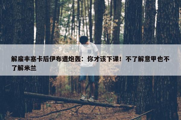 解雇丰塞卡后伊布遭炮轰：你才该下课！不了解意甲也不了解米兰