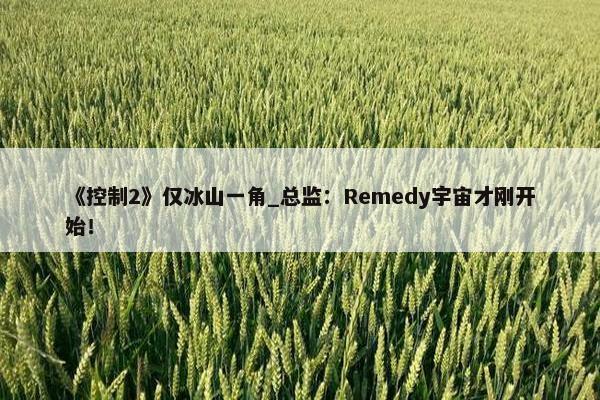 《控制2》仅冰山一角_总监：Remedy宇宙才刚开始！