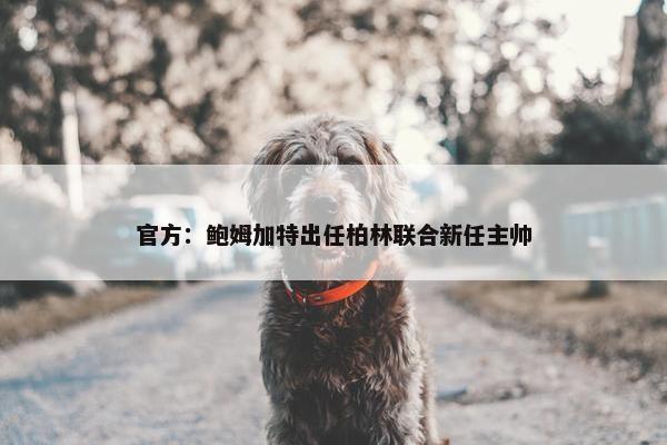 官方：鲍姆加特出任柏林联合新任主帅