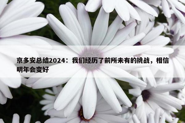 京多安总结2024：我们经历了前所未有的挑战，相信明年会变好