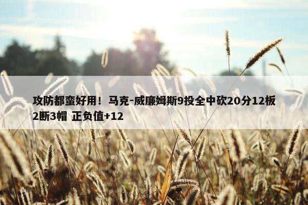 攻防都蛮好用！马克-威廉姆斯9投全中砍20分12板2断3帽 正负值+12