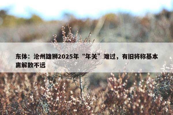 东体：沧州雄狮2025年“年关”难过，有旧将称基本离解散不远