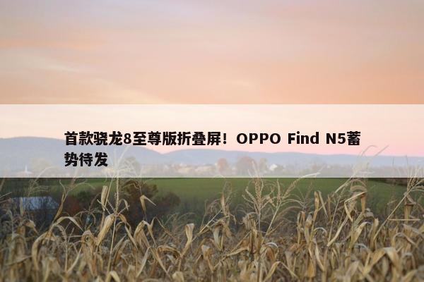 首款骁龙8至尊版折叠屏！OPPO Find N5蓄势待发