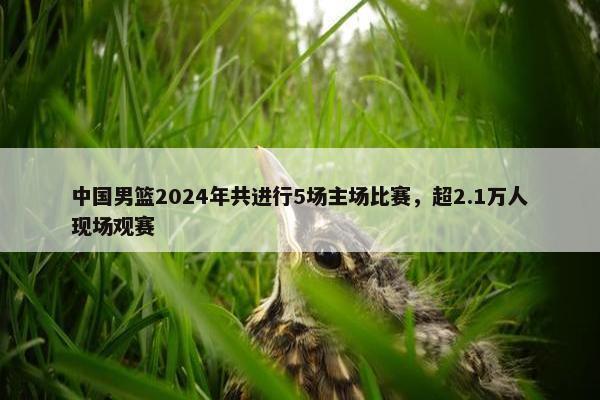 中国男篮2024年共进行5场主场比赛，超2.1万人现场观赛