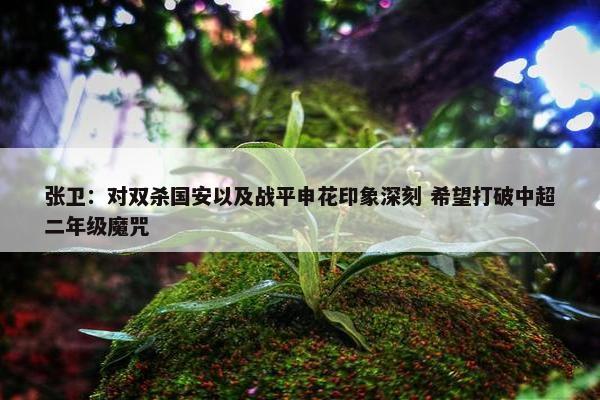 张卫：对双杀国安以及战平申花印象深刻 希望打破中超二年级魔咒