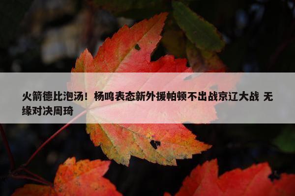 火箭德比泡汤！杨鸣表态新外援帕顿不出战京辽大战 无缘对决周琦