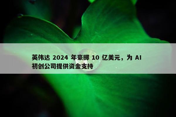 英伟达 2024 年豪掷 10 亿美元，为 AI 初创公司提供资金支持