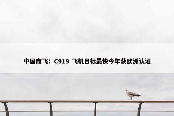 中国商飞：C919 飞机目标最快今年获欧洲认证