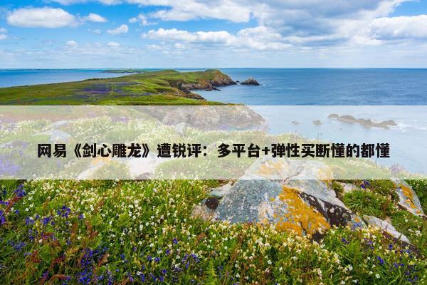 网易《剑心雕龙》遭锐评：多平台+弹性买断懂的都懂