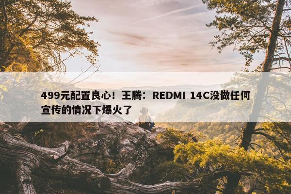 499元配置良心！王腾：REDMI 14C没做任何宣传的情况下爆火了