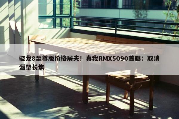 骁龙8至尊版价格屠夫！真我RMX5090首曝：取消潜望长焦