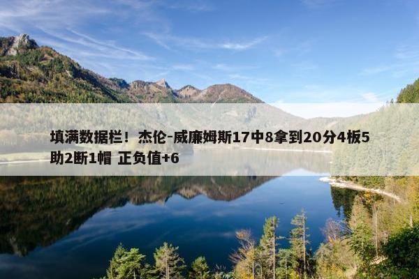 填满数据栏！杰伦-威廉姆斯17中8拿到20分4板5助2断1帽 正负值+6