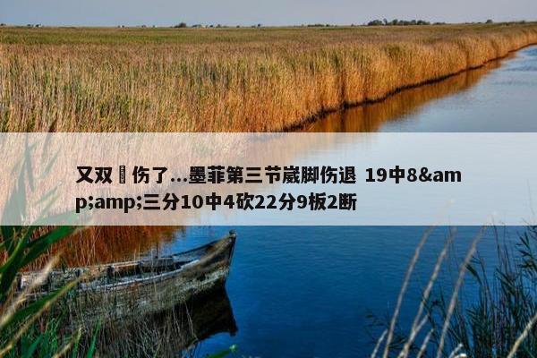 又双叒伤了...墨菲第三节崴脚伤退 19中8&amp;三分10中4砍22分9板2断