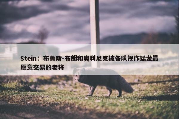 Stein：布鲁斯-布朗和奥利尼克被各队视作猛龙最愿意交易的老将