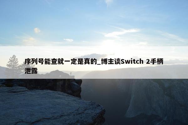 序列号能查就一定是真的_博主谈Switch 2手柄泄露