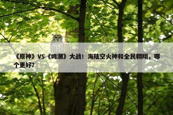 《原神》VS《鸣潮》大战！海陆空火神和全民翱翔，哪个更好？