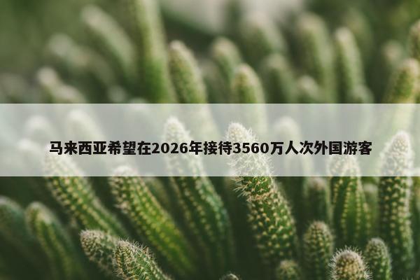 马来西亚希望在2026年接待3560万人次外国游客