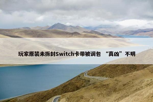 玩家原装未拆封Switch卡带被调包 “真凶”不明