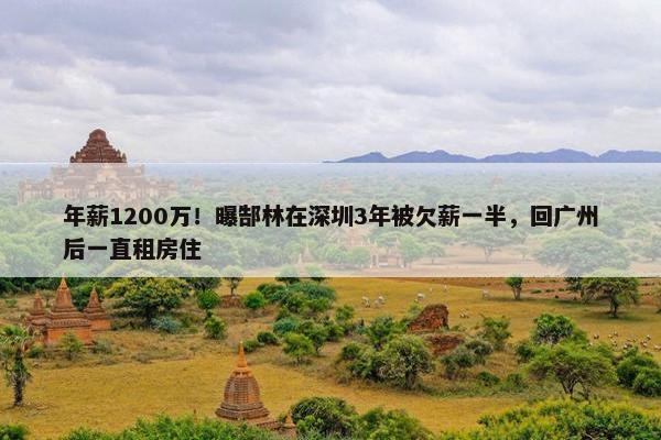 年薪1200万！曝郜林在深圳3年被欠薪一半，回广州后一直租房住