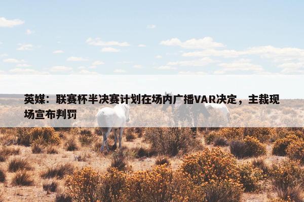 英媒：联赛杯半决赛计划在场内广播VAR决定，主裁现场宣布判罚