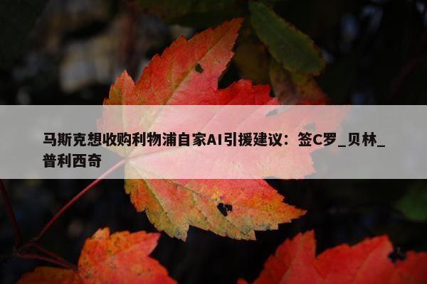 马斯克想收购利物浦自家AI引援建议：签C罗_贝林_普利西奇