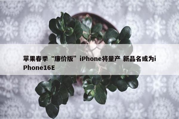 苹果春季“廉价版”iPhone将量产 新品名或为iPhone16E